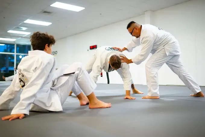 Adult Brazilian Jiu Jitsu